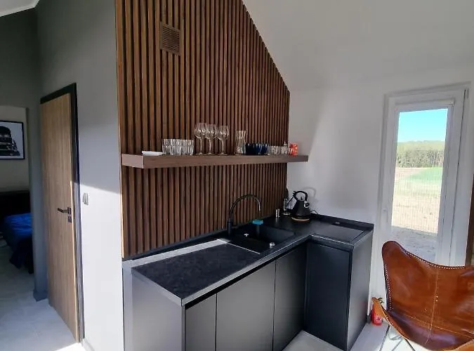 Шале Bosko Z Sauna I Balia W Sulminie Obok Gdanska *